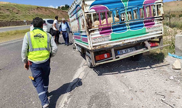Siirt'te kurbanlıkları taşıyan araç kaza yaptı