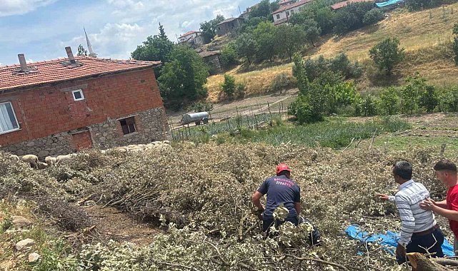 Sındırgı'da koyun damı çöktü, 2 koyun telef oldu