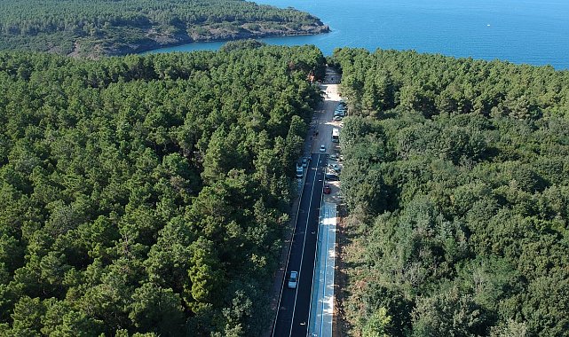 Sinop'ta ormanlara girişler 31 Ekim'e kadar yasaklandı