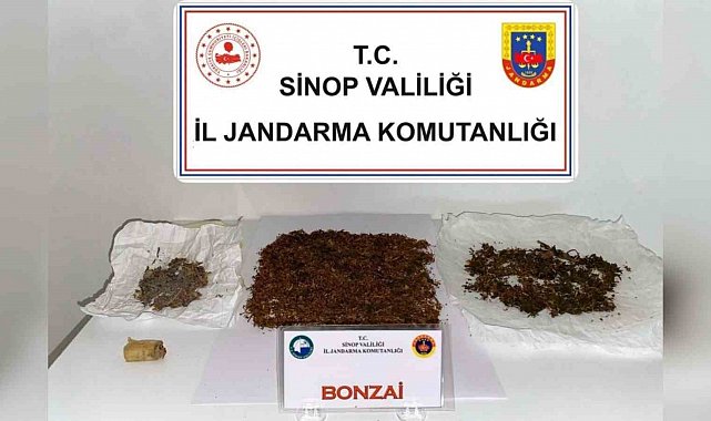 Sinop'ta zehir operasyonu