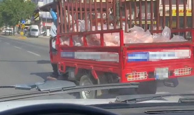 Siverek'te tepki çeken görüntü