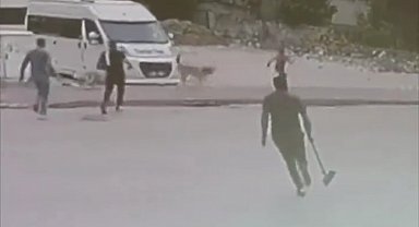 Sokak köpekleri çocuğa saldırdı