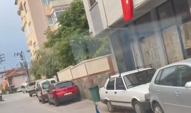 Sokak ortasında gezen tavus kuşu sürücülere ilginç anlar yaşattı