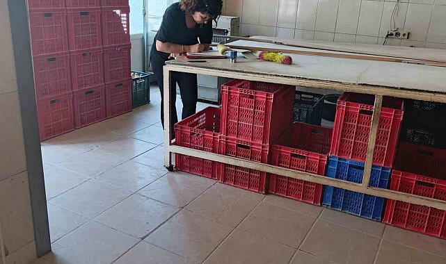 Söke'de riske dayalı gıda işletmeleri denetlendi