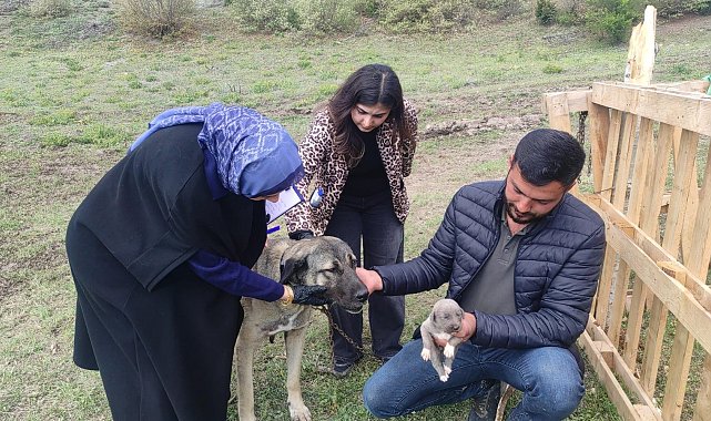 Sosyal medyada linç edilmişti, o köpeğin sahibi konuştu