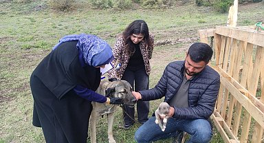 Sosyal medyada linç edilmişti, o köpeğin sahibi konuştu