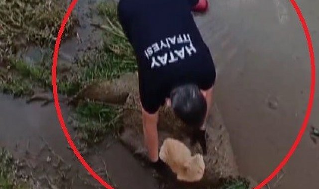 Su kanalında mahsur kalan kedinin yardımına itfaiye ekipleri koştu