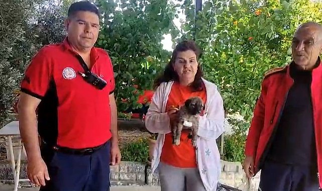 Su kenarında mahsur kalan köpeği itfaiye kurtardı