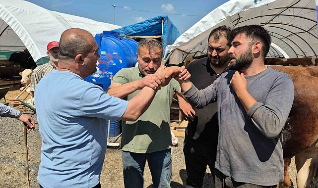 Sultangazi kurban pazarında bayram hareketliliği devam ediyor