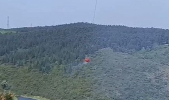 Sultangazi'de orman yangını