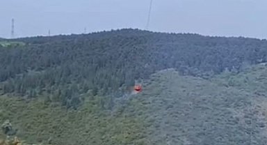 Sultangazi'de orman yangını