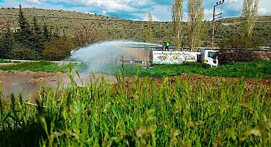 Talas'ta sinek ve haşerata erken önlem