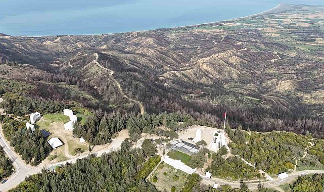 Tarihi bölgede 980 futbol sahası büyüklüğünde alan yanmıştı: Orman yeniden yeşermeye başladı