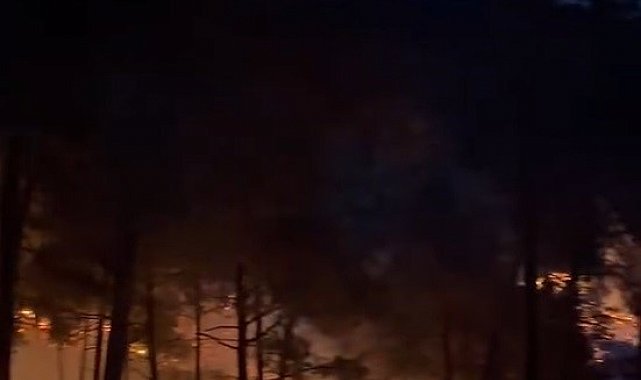 Tarsus'ta orman yangını