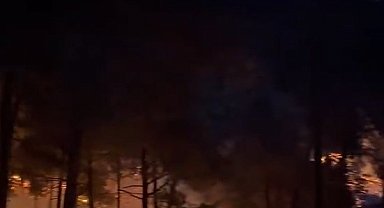 Tarsus'ta orman yangını