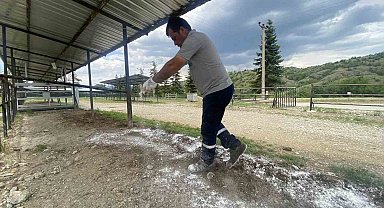 Taşköprü Belediyesi, Kurban Bayramı öncesinde hazırlıklarını tamamladı
