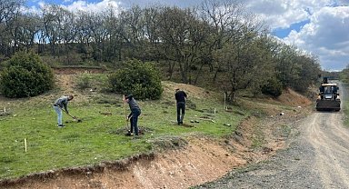 Tavşanlı Kuruçay Göleti çevresi hükümlülerin ellerinden yeşeriyor