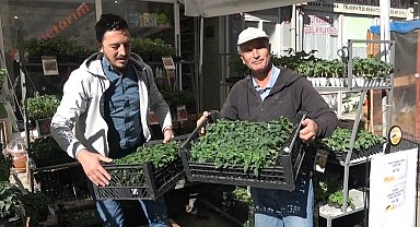 Tavşanlı'da fide çeşitliliği ile verimli sezon bekleniyor