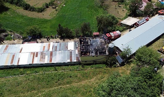 Tavuk çiftliğinde yangın: Binlerce hayvan telef olmaktan son anda kurtarıldı