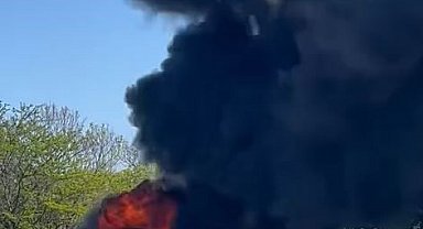 TEM Otoyolu'nda bir otomobil alev alev yandı