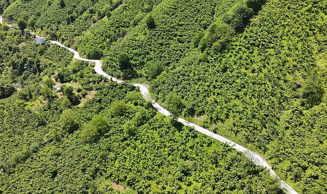 Terme'de beton yol çalışması