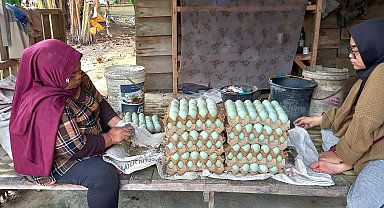 TİKA, Endonezya'da kırsal kalkınmayı destekliyor