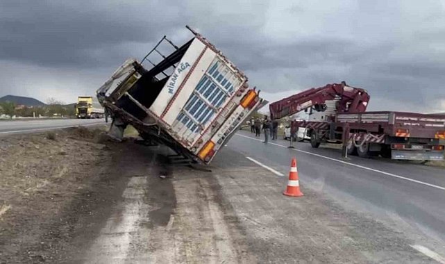 Tır devrildi, anguslar kayboldu