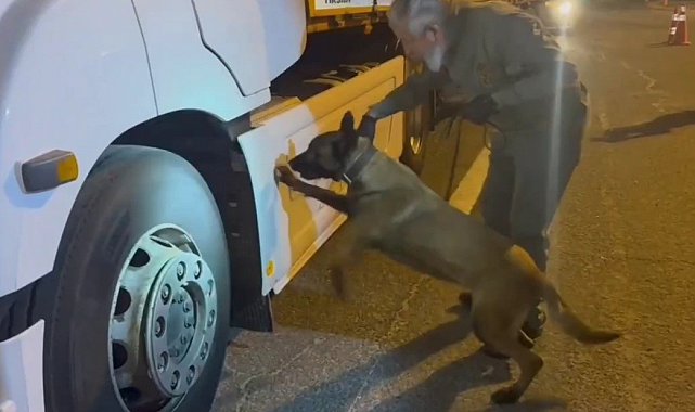 Tırdaki 5,5 kilogram uyuşturucuyu 'Viva' buldu