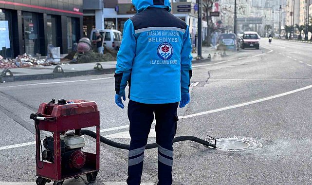 Trabzon'da sıcaklar başlamadan vektörle mücadele başladı