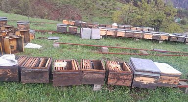 Tunceli Arı Yetiştiricileri Birliği Başkanı Doğan, "Fırtınadan zarar gören arıcılar TARSİM'e başvurmalı"
