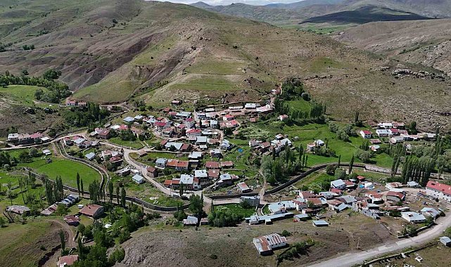 Türk ve Japon bilim adamları Sivas ve çevresinde ölümcül kenelerle ilgili bilimsel saha çalışması başlattı