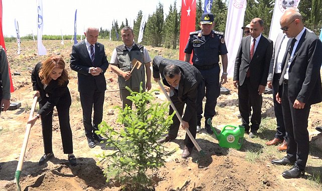 Türkiye'de "81 İlde 81 Orman" projesi kapsamında 81 ilde 2,2 milyon fidan toprakla buluşacak