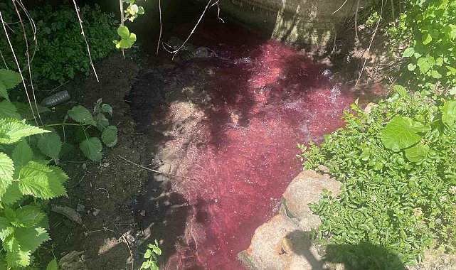 Turşu sulu renkli dereye çiftçiler de uzmanlar da tepkili