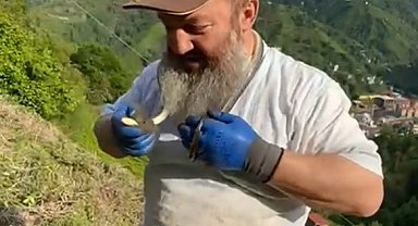 Tuttuğu yılanın önce güzelliğini anlattı, sonra kolye gibi boynuna doladı