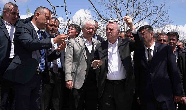 TZOB Başkanı Bayraktar, Kahramanmaraş'ta zirai dondan etkilenen bahçeleri inceledi