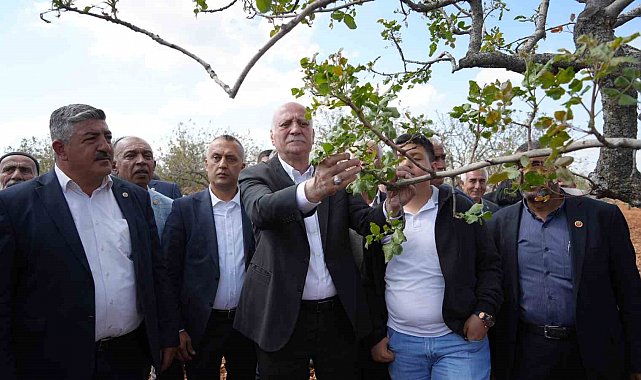 TZOB Genel Başkanı Bayraktar, Gaziantep'te dondan etkilenen bahçeleri inceledi