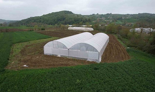 Üreticilere sera desteği