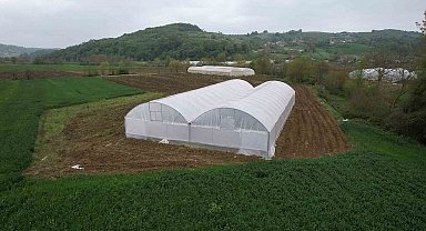 Üreticilere sera desteği