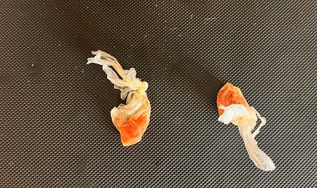 Uyuşturucu ham maddesi ele geçirildi