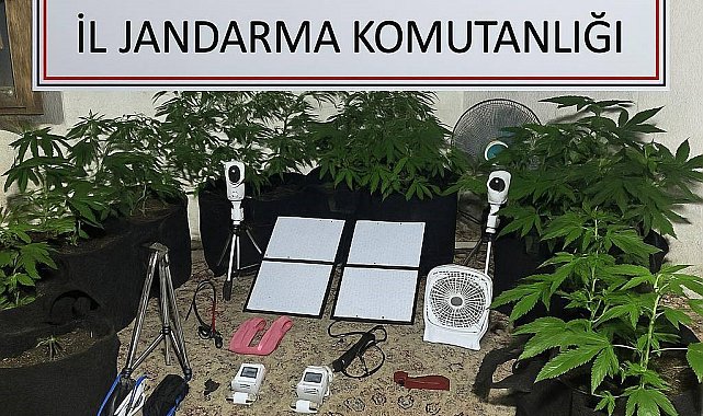 Uzaktan kontrolle metruk binada uyuşturucu yetiştirdi