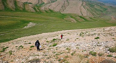 Uzmanlardan heliz otu ve mantar zehirlenmesi uyarısı