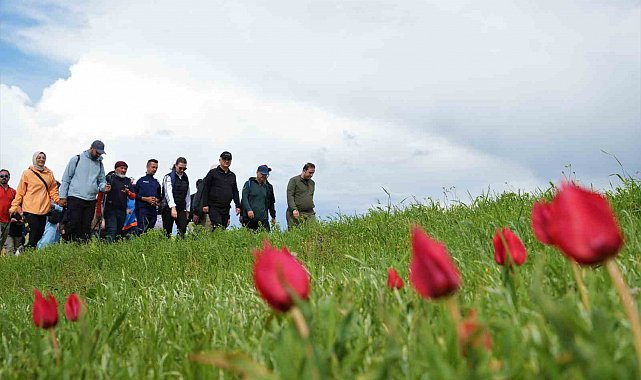 Vali Çakır, doğaseverlere eşlik ederek Korkut'un gizli kalmış güzelliklerini keşfetti