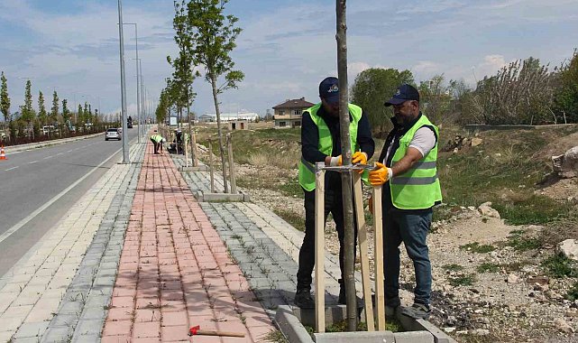 Van Büyükşehir Belediyesinden sahil yolunda çalışma