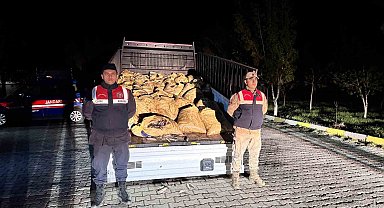Van'da 3 ton 820 kilo kaçak avlanmış balık ele geçirildi