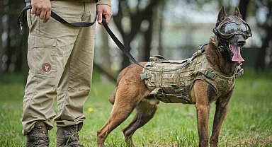 Vatan savunması can dostlara emanet