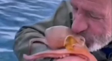 Yakaladığı ahtapotu öpüp sevdi, denize bıraktı