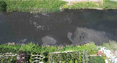 Yalova'da Dereağzı mevkisinde kanalizasyon suyu denize aktı