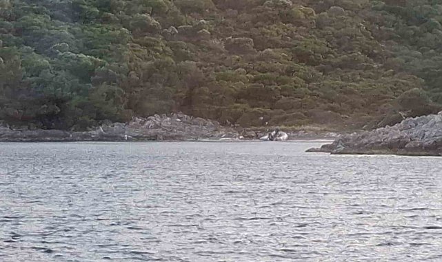 Yasak bölgeye zodyak botla gelen 3 şahıs yakalandı