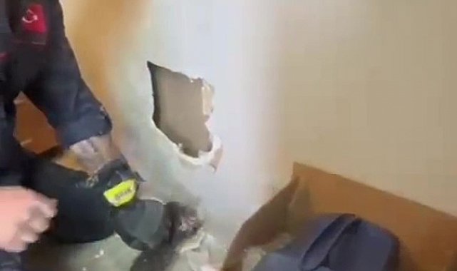 Yavruları duvar arasında mahsur kalan kedinin imdadına itfaiye ekipleri yetişti