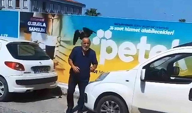 Yavruyu kurtarmak istedi, kargaların hedefi oldu